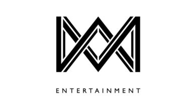 escndalo-no-universo-dos-doramas-wm-entertainment-demite-gerente-por-filmagem-ilegal